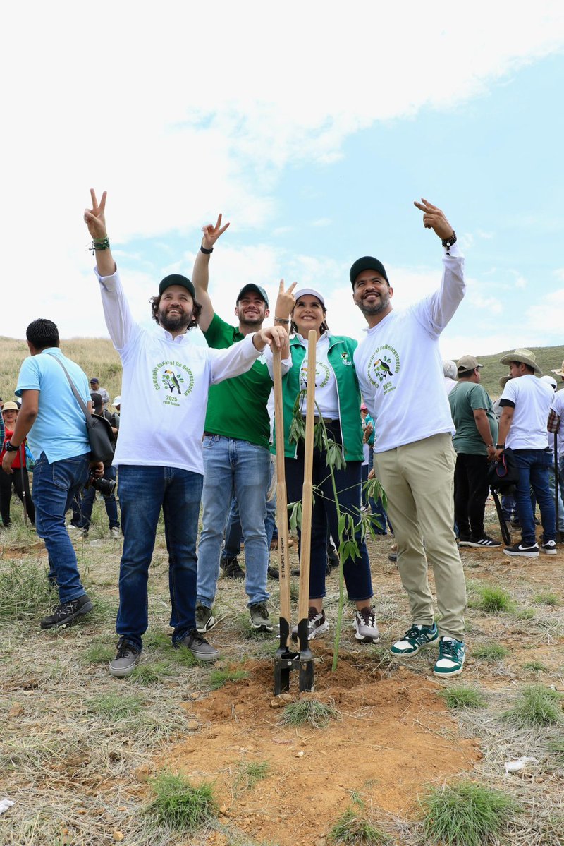reforestacion_verde_zimatlan_de_alvarez_mirioverde.jpeg