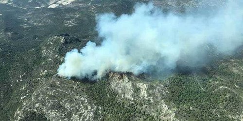SLP salió bien librado en la temporada de incendios