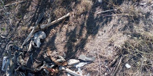 Hallan restos humanos en camino Plazuela-El Caracol
