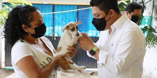 Proponen cárcel de cinco años por matar un animal doméstico