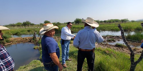 Desazolvarán el río Choy, para regar cultivos de Progreso