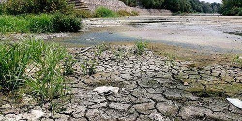 Pese a sequía, no se contempla declaratoria de emergencia en SLP