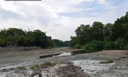 Dramático descenso del nivel del río Valles