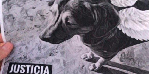 Potosinos se unen a reclamo de justica para Rodolfo Corazón