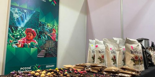 Gobierno Estatal creará la Ruta del Café