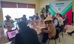 Ejecutivo Estatal coordina evaluación de estatus sanitario de ganado