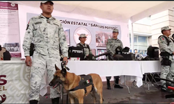 Gobierno gestiona recursos para fortalecer la seguridad en SLP