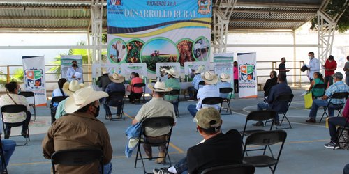 Recibieron pago del seguro catastrófico 193 productores