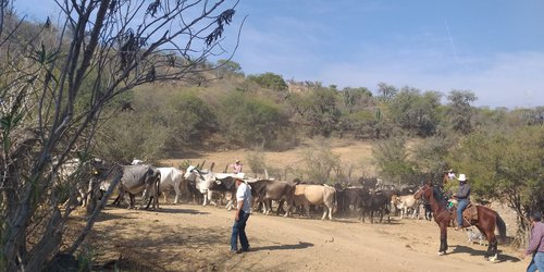Terriblemente secas comunidades del Plan de Arriba y el Cañón