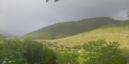 Chulada de lluvia en la sierra de Rioverde