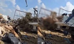 Captan a empleados de Piedras Negras tirando perros como basura; los investigan