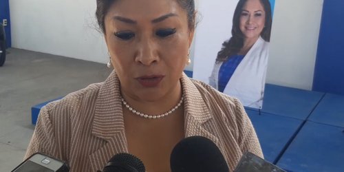 Lamenta Sonia Mendoza violencia de Morena e invalidación de la Ley Electoral