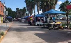 Reactivaron tianguis en Ciudad Fernández y El Refugio