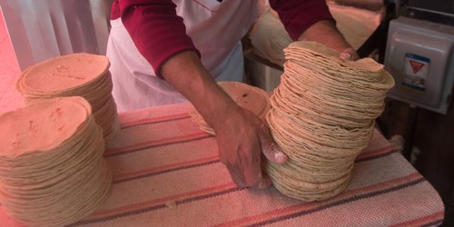 México se tarda y prohibirá hasta el 2024 el glifosato, cancerígeno, que se usa en tortillas, dice UAM