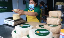 Gestionan más tortillerías subsidiadas en la capital potosina
