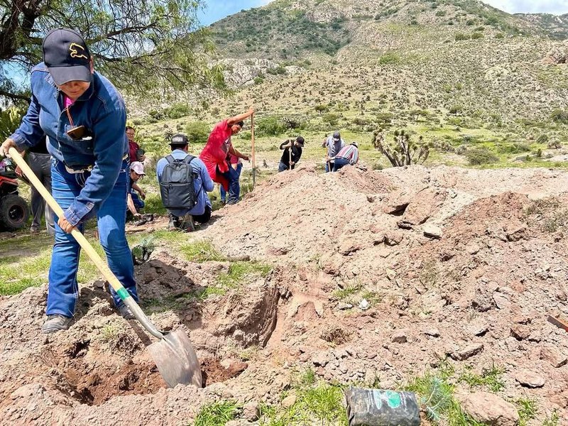 trabajos_de_reforestacion_mirioverde.jpg