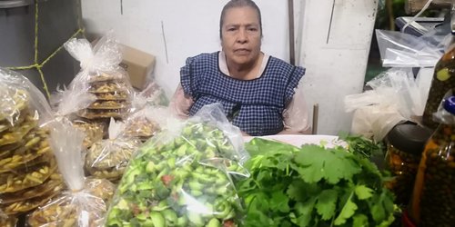 La gente ya no come verdolagas, quelites, chochas, espinacas, ni berro