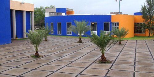 Hasta febrero del 2022 el regreso total a clases presenciales en la UASLP