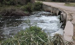Medios de comunicación magnificaron descargas de aguas tóxicas al río: Regidora