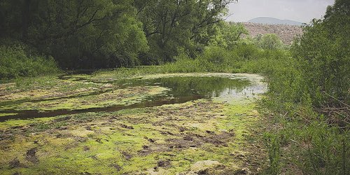 Acuífero  baja 5.5 metros por falta de lluvias en El Refugio y Rioverde