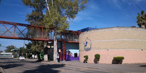 Preparan rehabilitación de zona de dinosaurios y área de ciencias del Museo El Colibrí