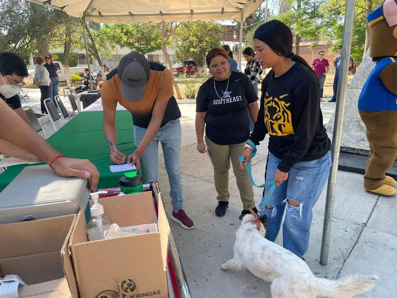 vacunacion_antirrabica_perros_y_gatos_mirioverde.jpeg