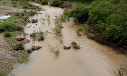 Siguen cerrados vados en la ribera; Protección Civil mantiene monitoreo