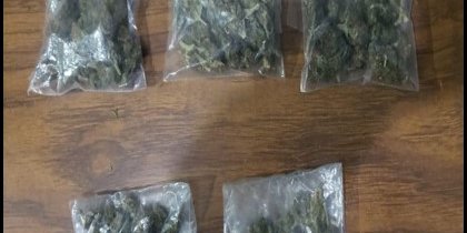 Detienen a ocho personas por posesión de droga en Matehuala