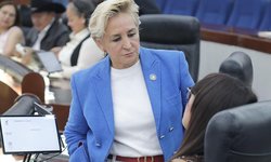 Proponen alianza legislativa para atención integral del Alzheimer en el Estado