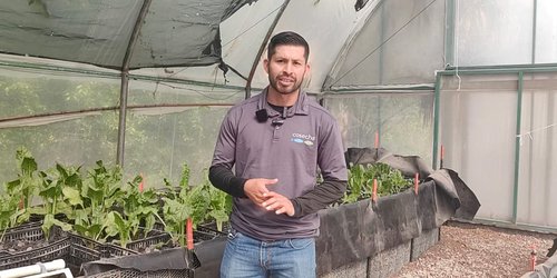 Proyecto internacional de acuaponía se expande en SLP con enfoque comunitario