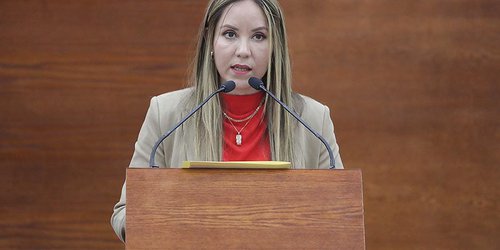 Iniciativa busca reformar el código penal del Estado para ampliar el delito contra la seguridad vial