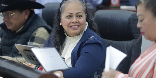 Avances importantes para la integración de mujeres en cargos de elección