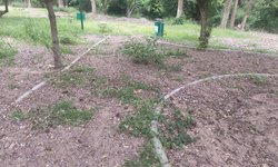 Admiten deterioro del Parque Lineal de Rioverde; rehabilitación será por etapas