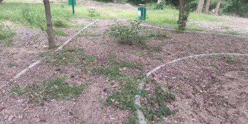 Admiten deterioro del Parque Lineal de Rioverde; rehabilitación será por etapas