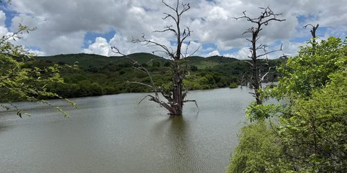 Conagua inspecciona presa de Colonia Agrícola El Naranjo tras reporte ciudadano