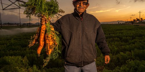 CONAGUA llama a productores a regularizar sus títulos de concesión antes del 29 de abril