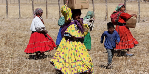 Activistas denuncian en la Segob la violencia y el desplazamiento forzado que sufre la Sierra Tarahumara.