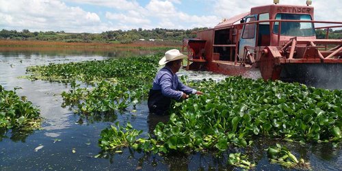 Aguas negras en la presa Endhó, Hidalgo, foco de contaminación y enfermedades.