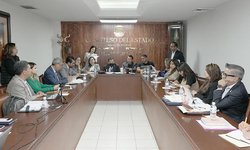 Aprueban que Guardia Civil y Policías Municipales coadyuven con el AMP en investigación de delitos