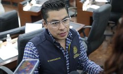 Proponen exhorto para impulsar programa de manejo de protección de flora y fauna de la sierra de Álvarez