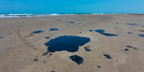 Derrame en el Golfo exhibe omisiones, dudas sobre origen y afectaciones crecientes: ambientalistas