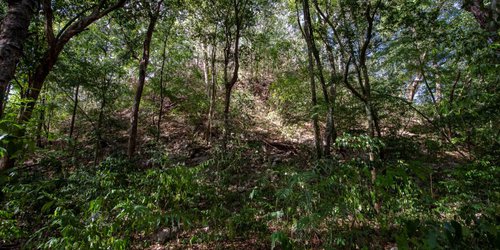 Exploran El Yesal, una de las ciudades mayas más grandes de las tierras bajas centrales.