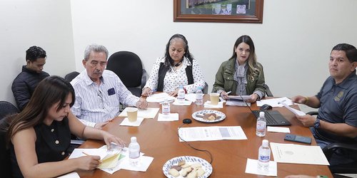 Aprueban armonizar leyes para unificar el plazo de trámite de placas y tarjeta de circulación de vehículos nuevos
