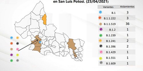 En semáforo amarillo necesitamos retrasar lo más posible la tercera ola: Lutzow Steiner