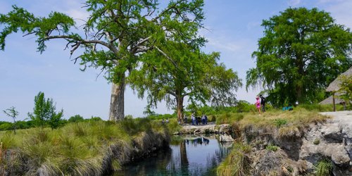 Actualizan concesión de agua al ejido San Francisco, para cuidar especies de plantas y animales en Los Peroles