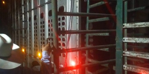 Refuerzan inspección sanitaria para proteger al ganado potosino