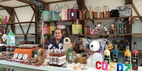 Artesanías y productos de Ciudad Fernández logran buena venta en exposición foránea