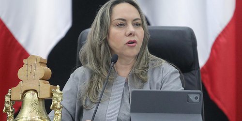 Dip. Sara Rocha presentó iniciativa de reforma a la Ley de Salud Mental del Estado