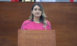 Exhortarán a los 59 Ayuntamientos para que apliquen inspecciones permanentes a bares y centros nocturnos