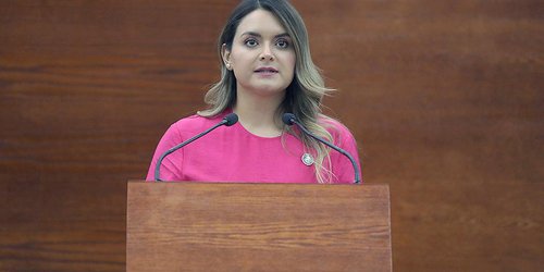 Exhortarán a los 59 Ayuntamientos para que apliquen inspecciones permanentes a bares y centros nocturnos